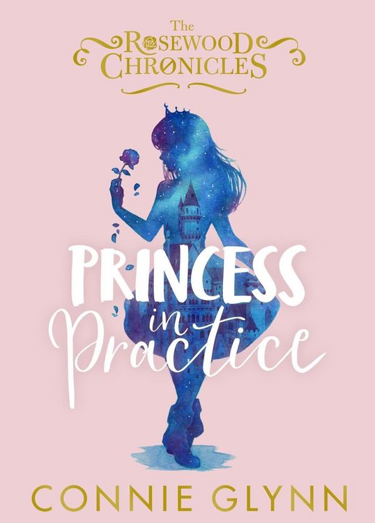 Produktbild: Princess in Practice