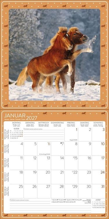 Produktbild: Pferdekalender 2027