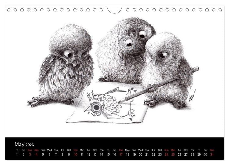 Produktbild: owls & friends 2026 (Wall Calendar 2026 DIN A4 landscape), CALVENDO 12 Month Wall Calendar
