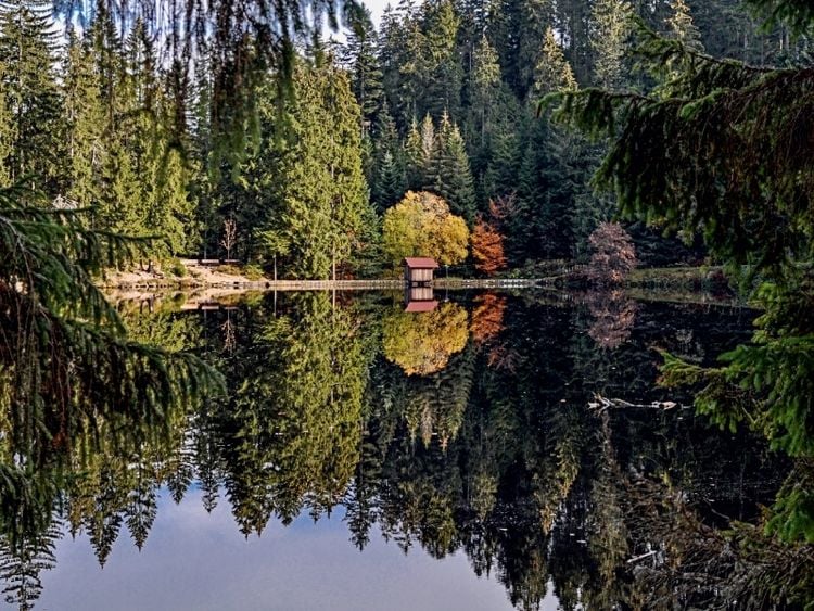 Produktbild: CALVENDO Puzzle Der Glaswaldsee bei Bad Peterstal | 1000 Teile Lege-Gr&ouml;&szlig;e 64x48cm Foto-Puzzle f&uuml;r gl&uuml;ckliche Stunden