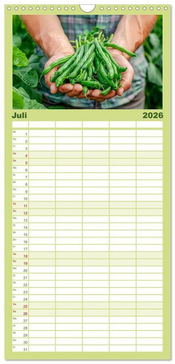 Produktbild: Familienplaner 2026 - Mein Gem&uuml;segarten - Ein Jahr knackig frisches Gem&uuml;se mit 5 Spalten (Wandkalender, 21 x 45 cm) CALVENDO