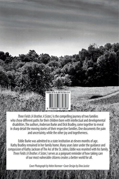 Produktbild: Three Fields (A Brother. A Sister.)