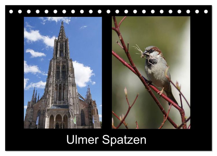 Produktbild: Ulmer Spatzen (Tischkalender 2026 DIN A5 quer), CALVENDO Monatskalender