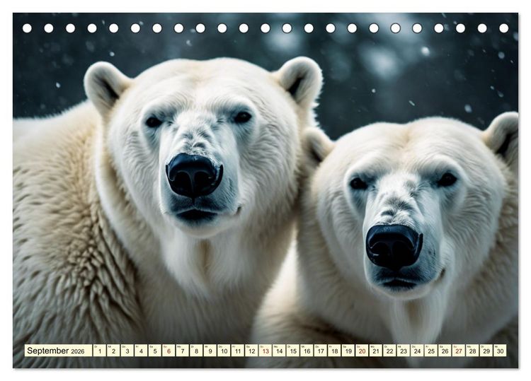 Produktbild: Eisb&auml;ren im Fokus (Tischkalender 2026 DIN A5 quer), CALVENDO Monatskalender