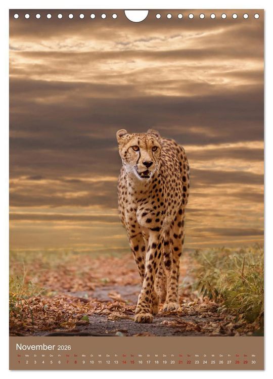 Produktbild: Portraits of Animals (Wandkalender 2026 DIN A4 hoch), CALVENDO Monatskalender