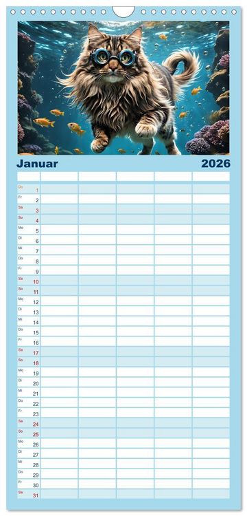 Produktbild: Familienplaner 2026 - Katzen unter Wasser mit 5 Spalten (Wandkalender, 21 x 45 cm) CALVENDO