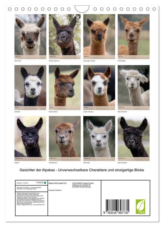 Produktbild: Gesichter der Alpakas - Unverwechselbare Charaktere und einzigartige Blicke (Wandkalender 2026 DIN A4 hoch), CALVENDO Monatskalender