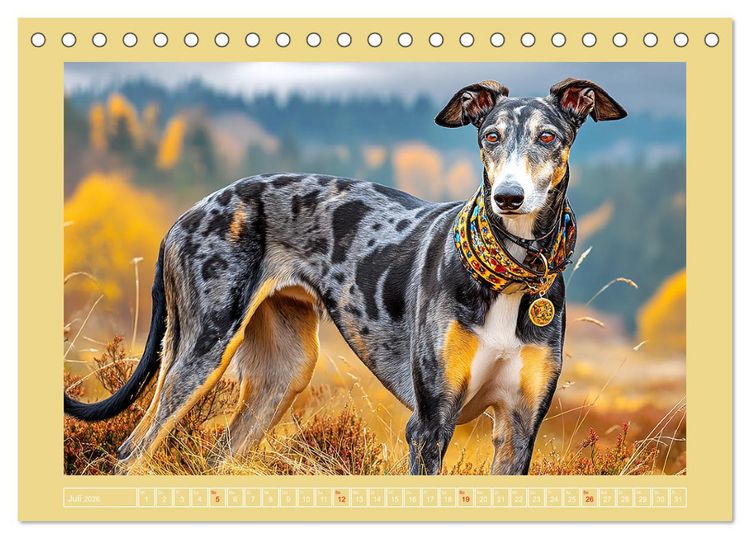 Produktbild: Windhunde. Seelenfl&uuml;sterer zwischen Anmut, Tempo und Stille (Tischkalender 2026 DIN A5 quer), CALVENDO Monatskalender
