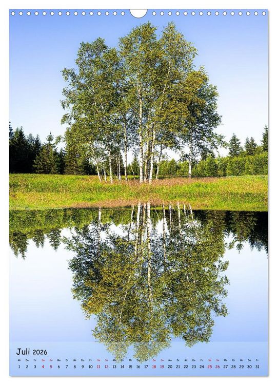 Produktbild: Spiegelb&auml;ume (Wandkalender 2026 DIN A3 hoch), CALVENDO Monatskalender