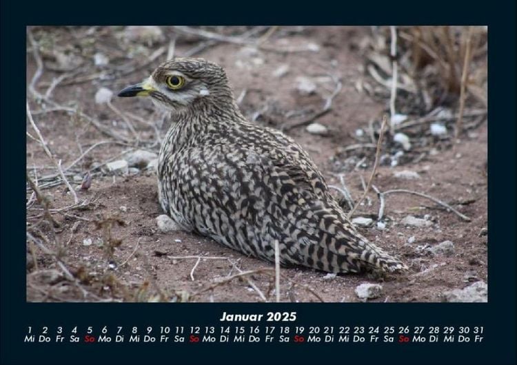 Produktbild: Vogelparadies 2025 Fotokalender DIN A4