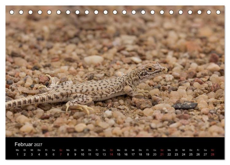 Produktbild: Wundersch&ouml;nes Namibia (Tischkalender 2027 DIN A5 quer), CALVENDO Monatskalender