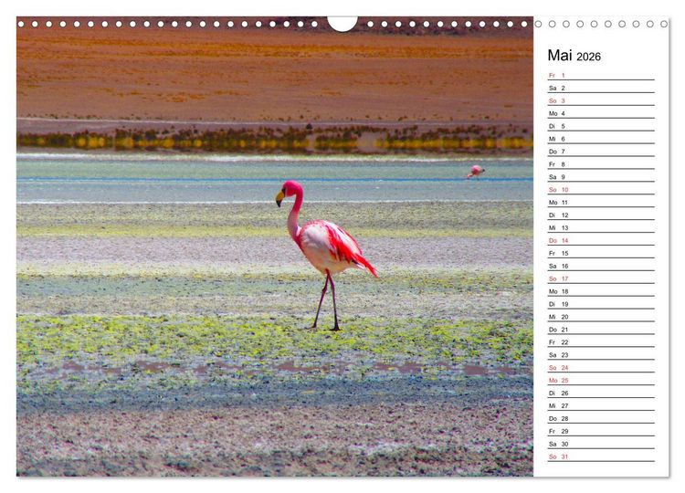 Produktbild: Mein Flamingo Planer (Wandkalender 2026 DIN A3 quer), CALVENDO Monatskalender