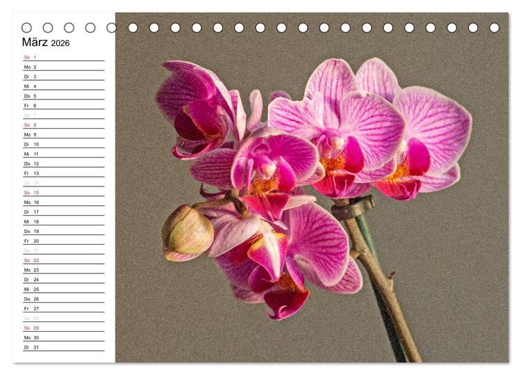 Produktbild: Bl&uuml;tenzauber Orchideen (Tischkalender 2026 DIN A5 quer), CALVENDO Monatskalender