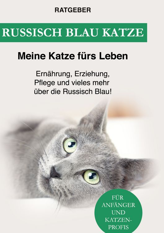 Produktbild: Russisch Blau Katze