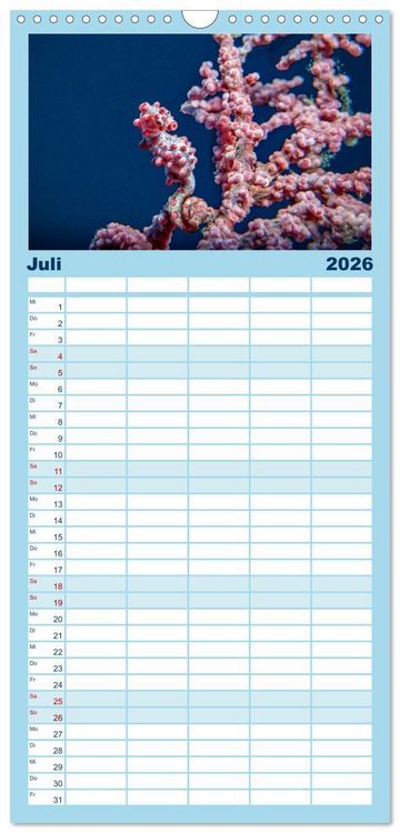 Produktbild: Familienplaner 2026 - Hippocampus oder einfach nur Seepferdchen mit 5 Spalten (Wandkalender, 21 x 45 cm) CALVENDO