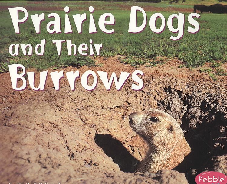 Produktbild: Prairie Dogs & Their Bur