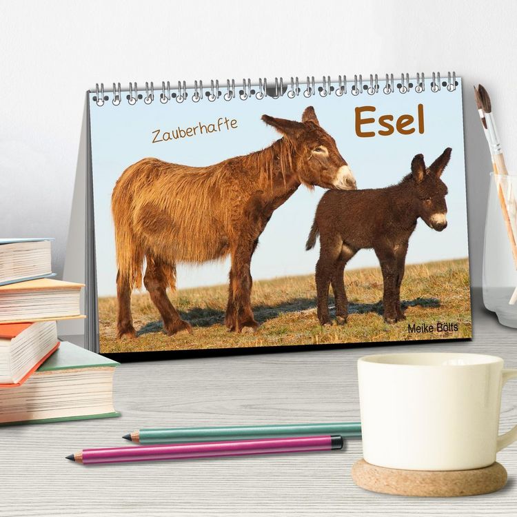 Produktbild: Zauberhafte Esel (Tischkalender 2026 DIN A5 quer), CALVENDO Monatskalender