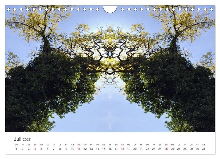 Produktbild: Spiegelwelten - Natur anders sehen (Wandkalender 2027 DIN A4 quer), CALVENDO Monatskalender