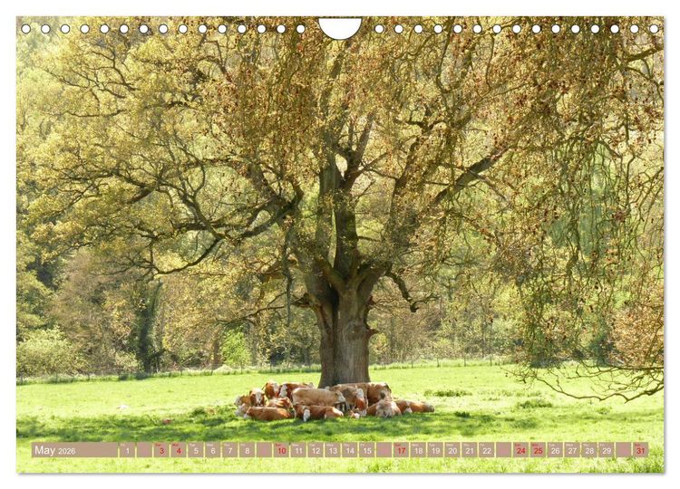 Produktbild: Picturesque Cotswolds (Wall Calendar 2026 DIN A4 landscape), CALVENDO 12 Month Wall Calendar