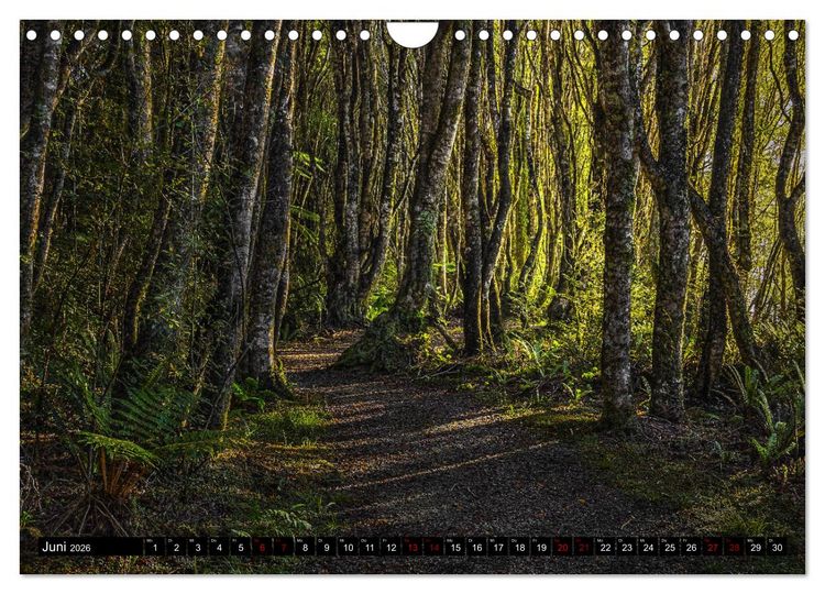 Produktbild: Trauminseln Neuseeland (Wandkalender 2026 DIN A4 quer), CALVENDO Monatskalender