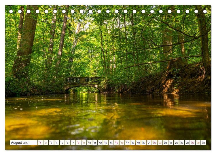 Produktbild: Natur hautnah Kalender (Tischkalender 2026 DIN A5 quer), CALVENDO Monatskalender