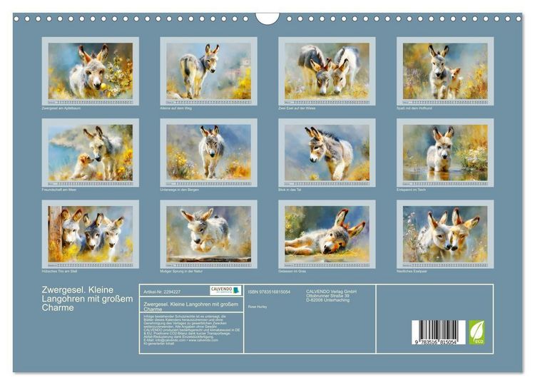 Produktbild: Zwergesel. Kleine Langohren mit gro&szlig;em Charme (Wandkalender 2027 DIN A3 quer), CALVENDO Monatskalender