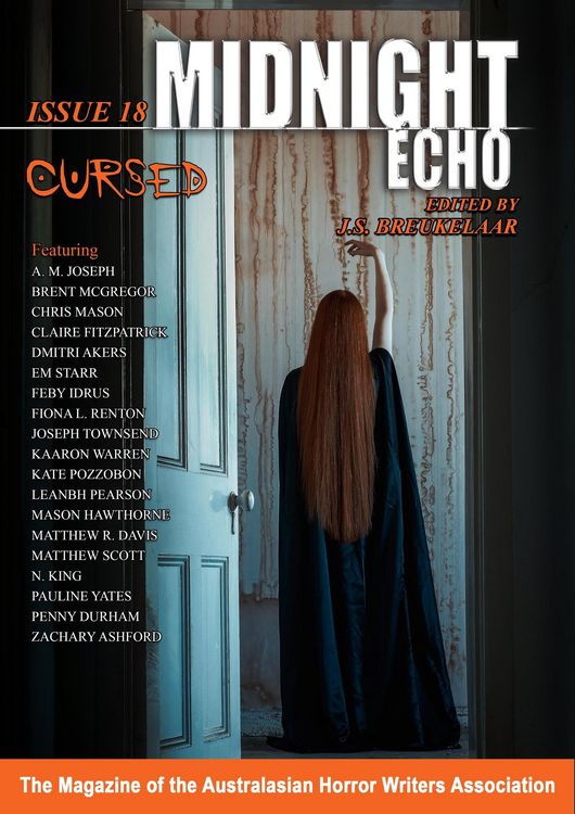 Produktbild: Midnight Echo Issue 18