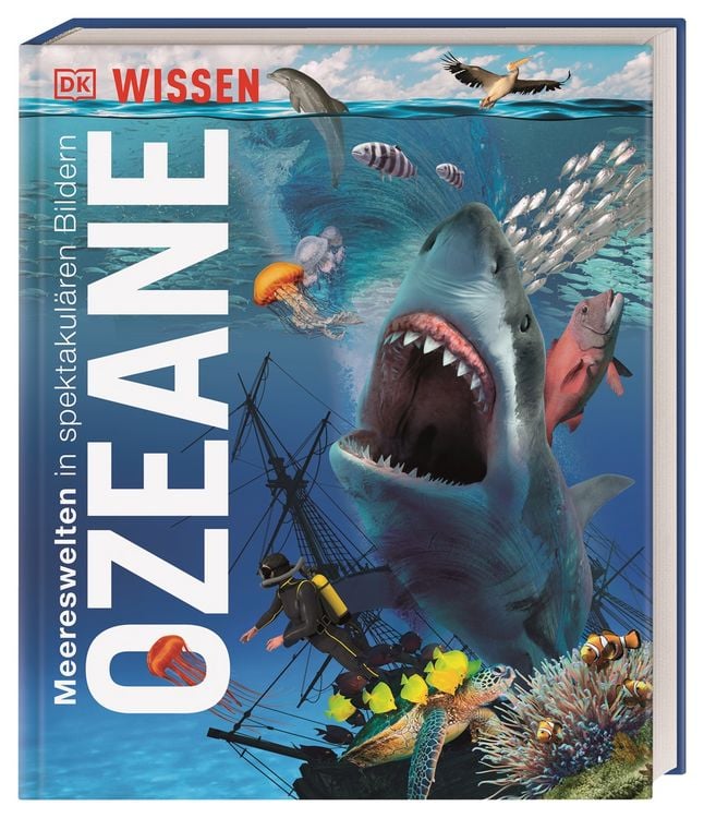 Produktbild: DK Wissen. Ozeane