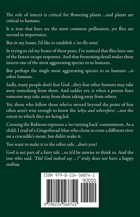Produktbild: Am I Trying to Take Away From Jesus?