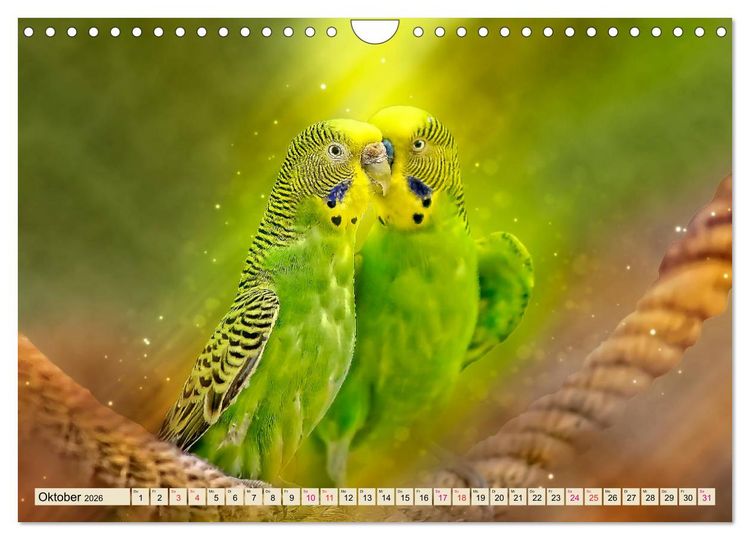 Produktbild: Wundersch&ouml;ner Wellensittich (Wandkalender 2026 DIN A4 quer), CALVENDO Monatskalender
