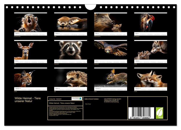 Produktbild: Wilde Heimat - Tiere unserer Natur (Wandkalender 2026 DIN A4 quer), CALVENDO Monatskalender