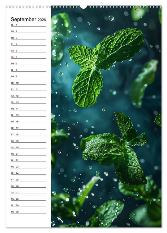 Produktbild: Kr&auml;uterfrische (hochwertiger Premium Wandkalender 2026 DIN A2 hoch), Kunstdruck in Hochglanz