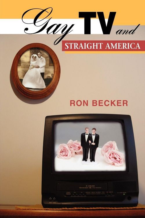 Produktbild: Gay TV and Straight America