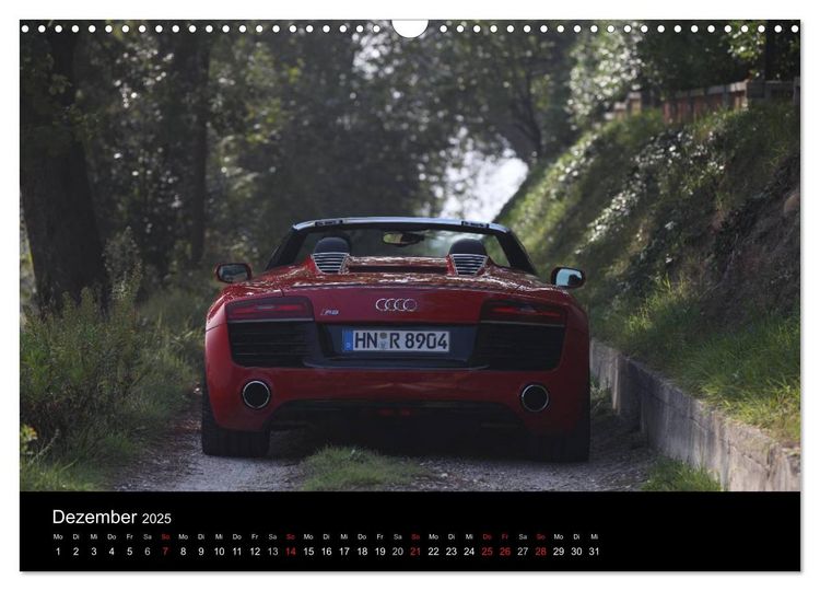 Produktbild: Vollblut-Sportler (Wandkalender 2025 DIN A3 quer), CALVENDO Monatskalender