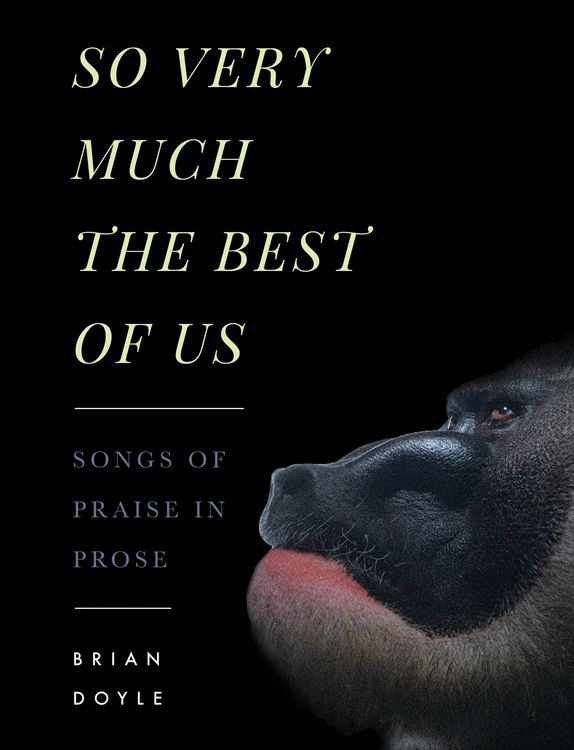 Produktbild: So Very Much the Best of Us