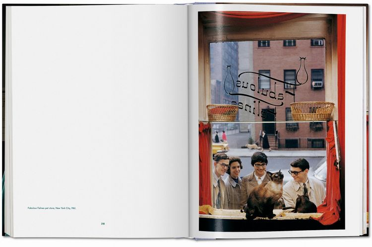 Produktbild: Walter Chandoha. Cats. Photographs 1942&ndash;2018
