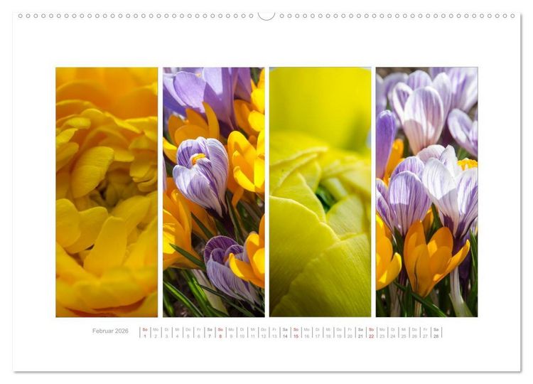 Produktbild: Gartenfreude (hochwertiger Premium Wandkalender 2026 DIN A2 quer), Kunstdruck in Hochglanz