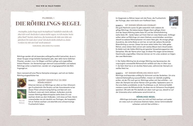 Produktbild: Abenteuer Wald
