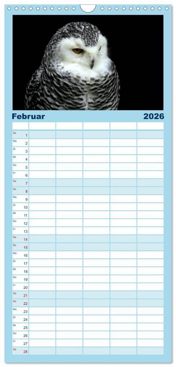 Produktbild: Familienplaner 2026 - Greifv&ouml;gel, Eulen und K&auml;uze mit 5 Spalten (Wandkalender, 21 x 45 cm) CALVENDO