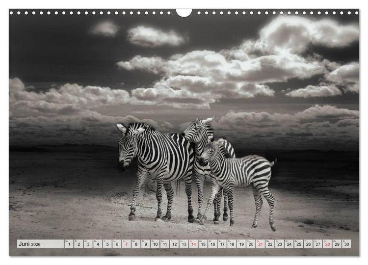 Produktbild: Wilde Tiere in schwarz-wei&szlig; (Wandkalender 2026 DIN A3 quer), CALVENDO Monatskalender