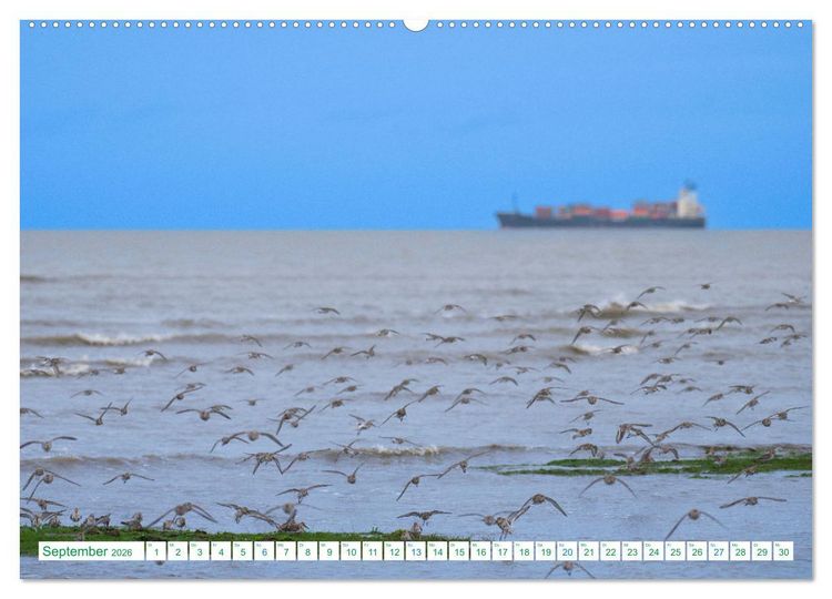 Produktbild: Schillig und Horumersiel - Im Wangerland unterwegs (hochwertiger Premium Wandkalender 2026 DIN A2 quer), Kunstdruck in Hochglanz