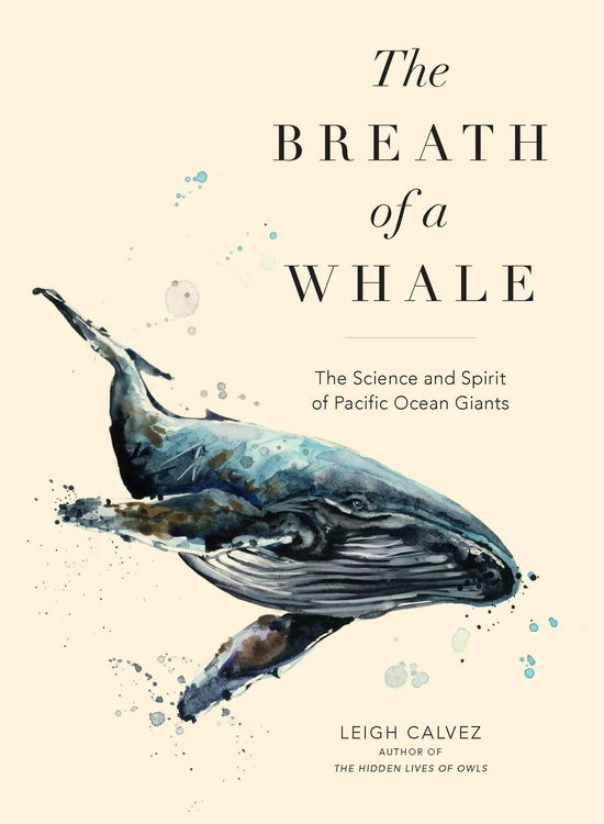Produktbild: The Breath of a Whale