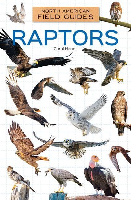 Produktbild: Raptors
