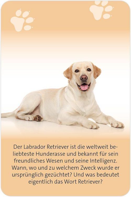 Produktbild: Das gro&szlig;e Hunde Quiz