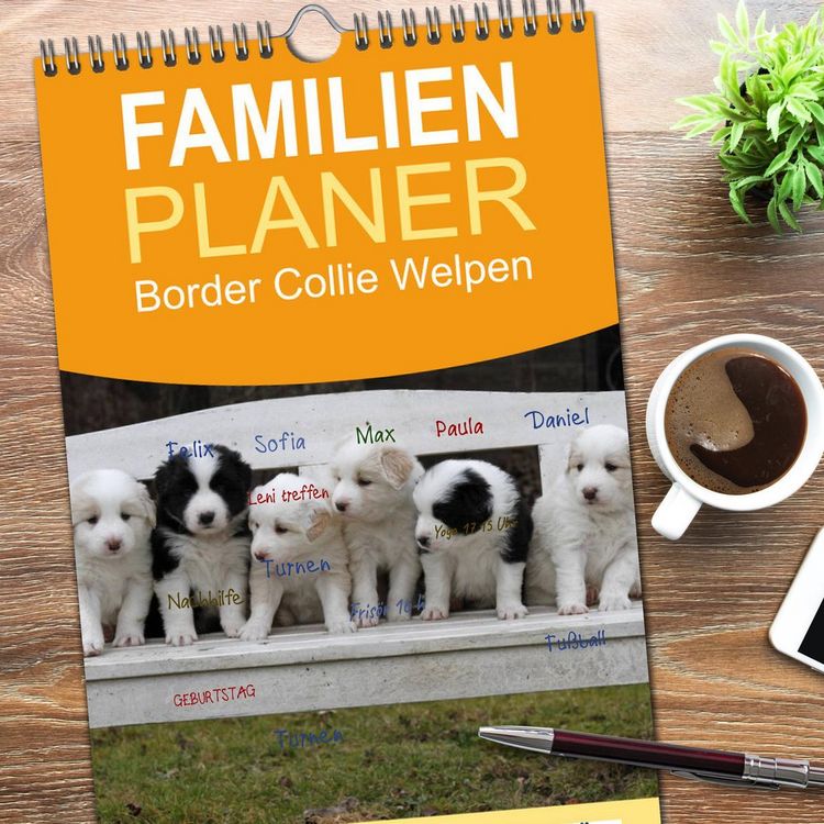 Produktbild: Familienplaner 2026 - Border Collie Welpen mit 5 Spalten (Wandkalender, 21 x 45 cm) CALVENDO