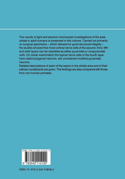 Produktbild: On the Structure of the Human Striate Area