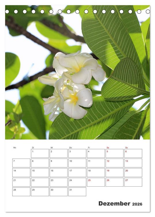 Produktbild: Hawaii - Reiseplaner (Tischkalender 2026 DIN A5 hoch), CALVENDO Monatskalender