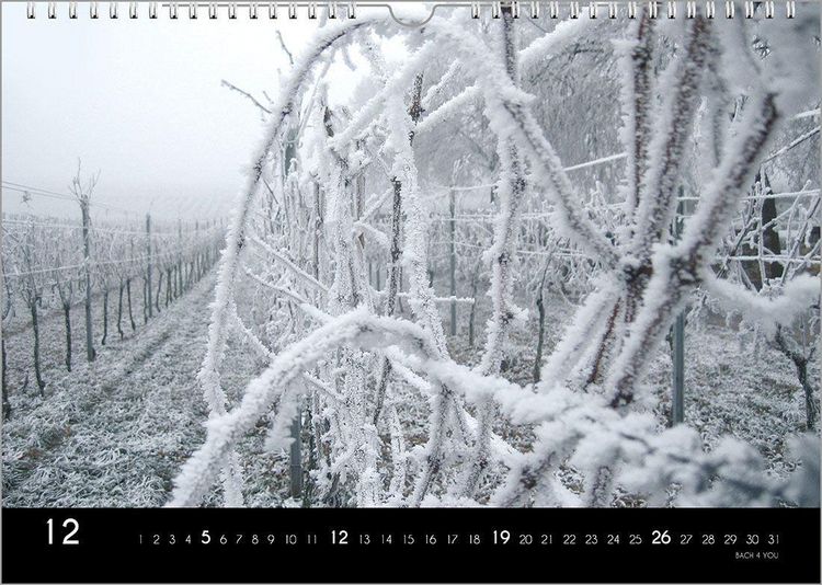 Produktbild: Der Weinkalender 2027, DIN A3 &ndash; ein Fotokalender