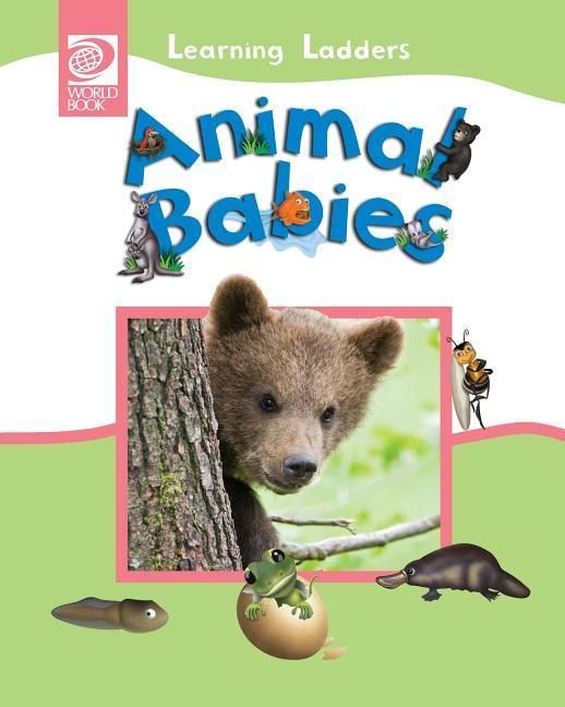 Produktbild: Animal Babies