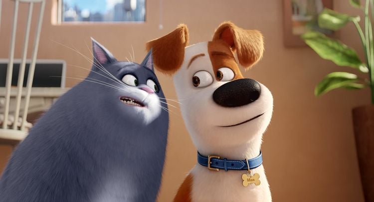 Produktbild: Pets Doppelpack: Pets 1 & Pets 2 [2 DVDs]